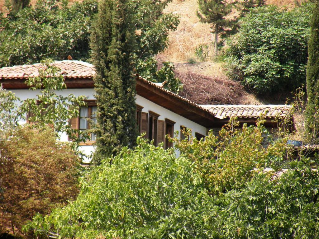 Terrace Houses Sirince Selcuk ห้อง รูปภาพ