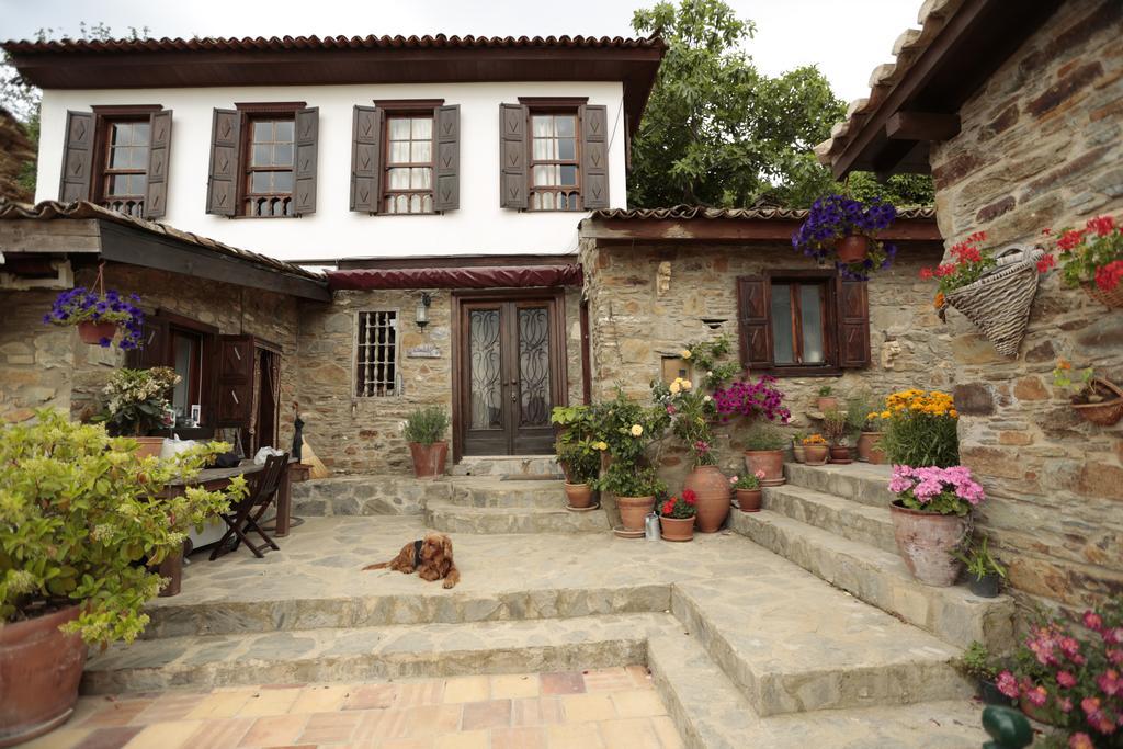 Terrace Houses Sirince Selcuk ภายนอก รูปภาพ