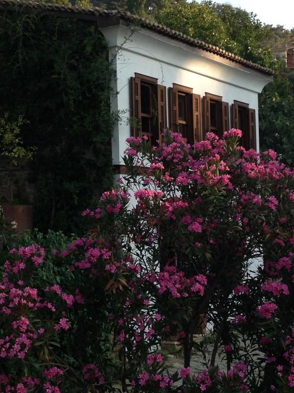 Terrace Houses Sirince Selcuk ภายนอก รูปภาพ