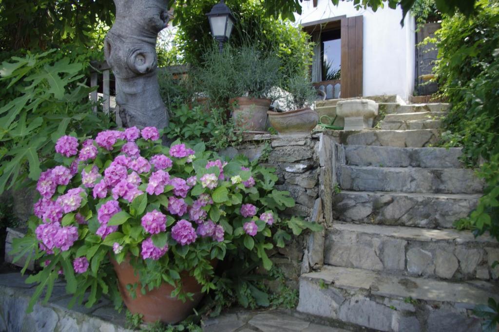 Terrace Houses Sirince Selcuk ห้อง รูปภาพ